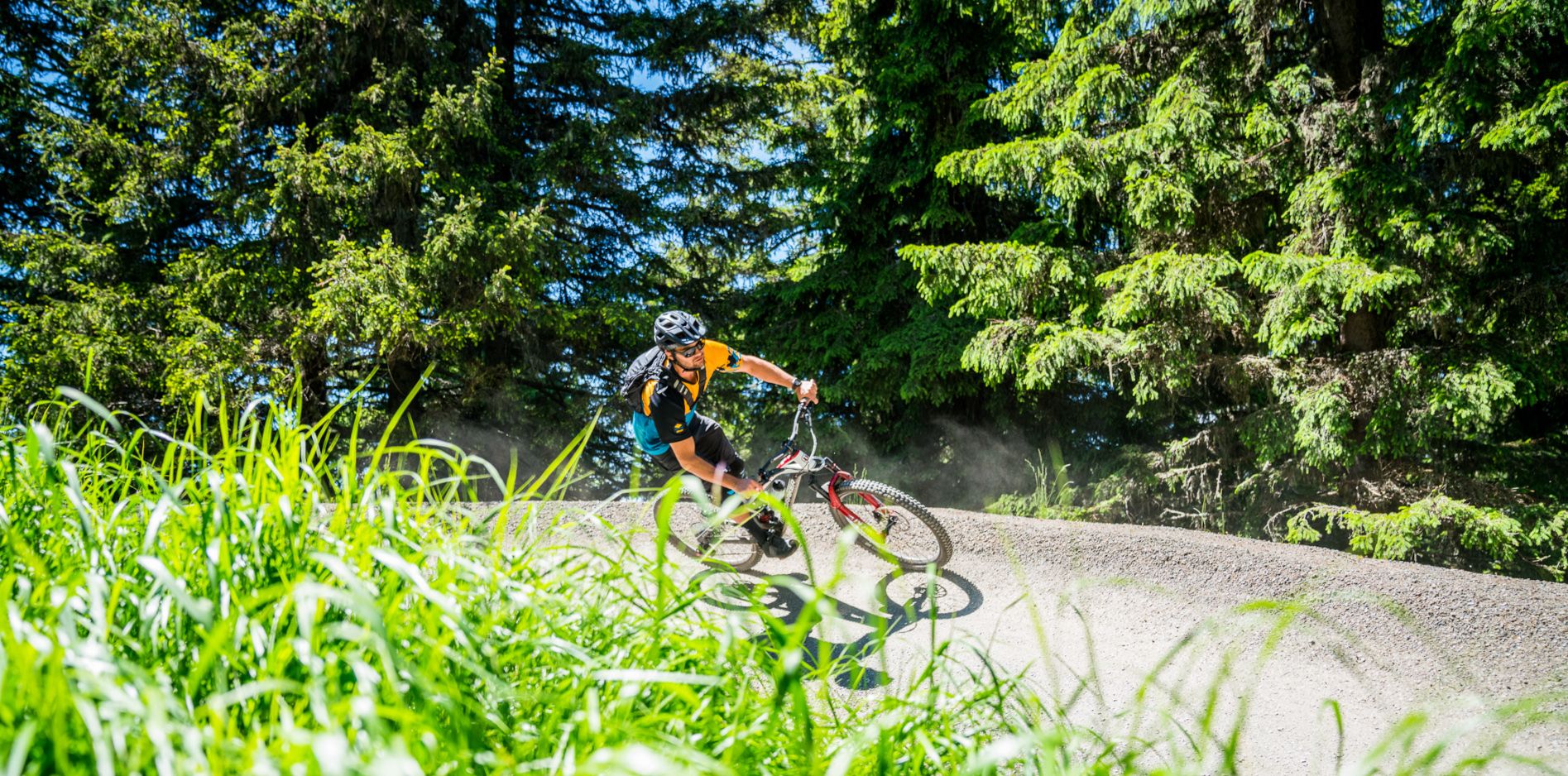 Dnevna vozovnica Bike